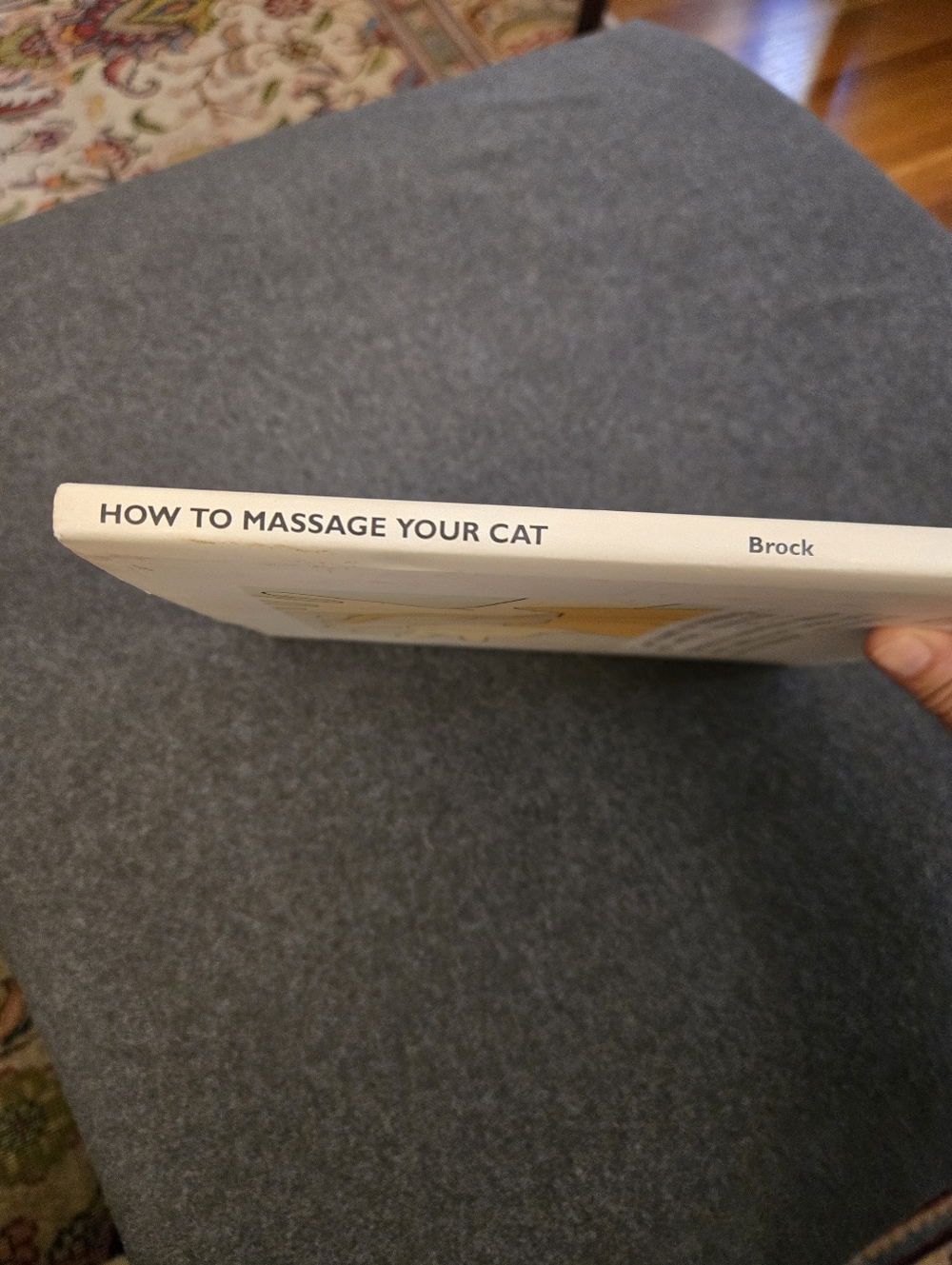 How To Massage Your Cat, Hardcover - Picture 2 of 5